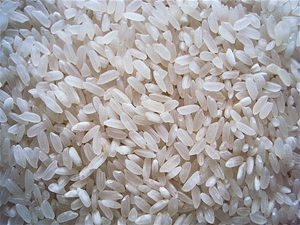 Gạo Hàm Châu Xốp
